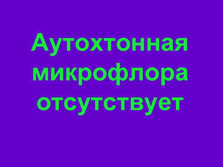 Аутохтонная микрофлора отсутствует 