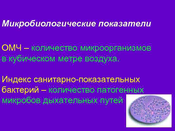 Микробиологические показатели ОМЧ – количество микроорганизмов в кубическом метре воздуха. Индекс санитарно-показательных бактерий –