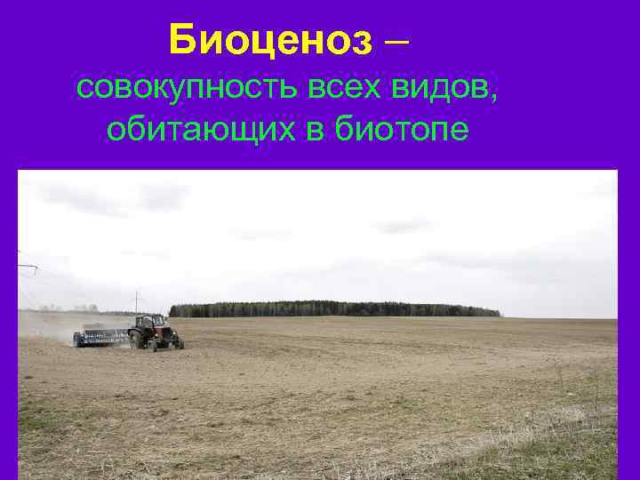 Биоценоз – совокупность всех видов, обитающих в биотопе 