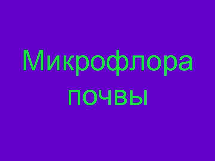 Микрофлора почвы 