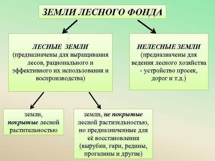 Лесные и нелесные земли лесного фонда. Лесные земли и нелесные земли. Понятие земель лесного фонда. Классификация земель лесного фонда.