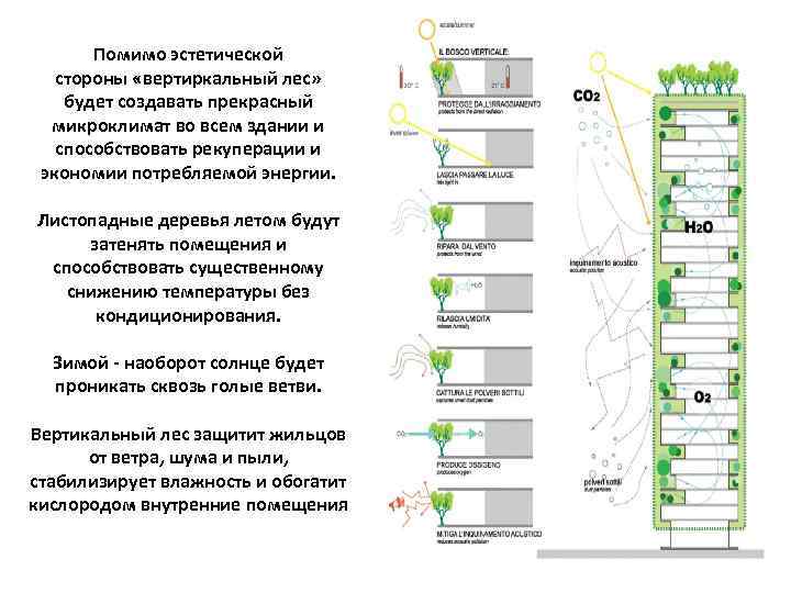 Помимо эстетической стороны «вертиркальный лес» будет создавать прекрасный микроклимат во всем здании и способствовать