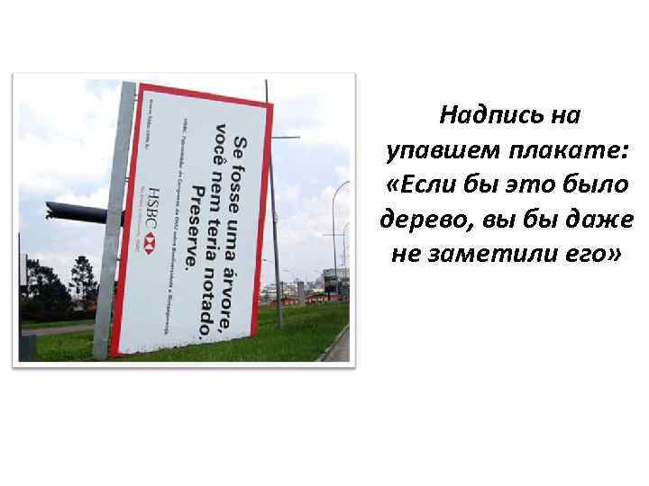  Надпись на упавшем плакате: «Если бы это было дерево, вы бы даже не