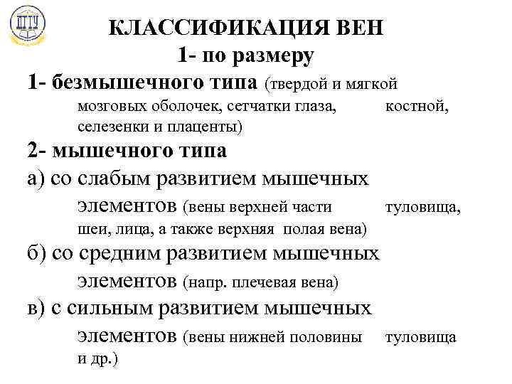 КЛАССИФИКАЦИЯ ВЕН 1 - по размеру 1 - безмышечного типа (твердой и мягкой мозговых