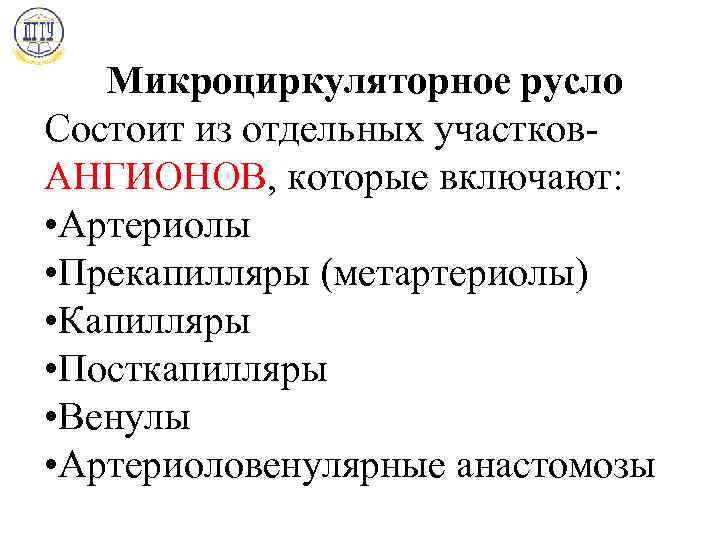 Микроциркуляторное русло Состоит из отдельных участков. АНГИОНОВ, которые включают: • Артериолы • Прекапилляры (метартериолы)