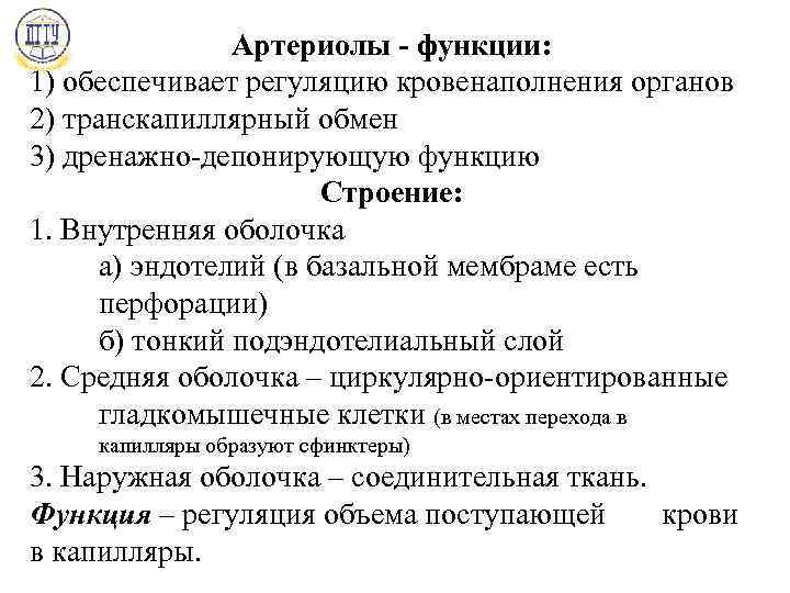 Артериолы - функции: 1) обеспечивает регуляцию кровенаполнения органов 2) транскапиллярный обмен 3) дренажно-депонирующую функцию