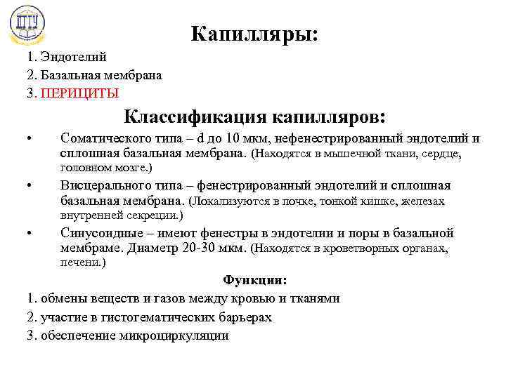 Капилляры: 1. Эндотелий 2. Базальная мембрана 3. ПЕРИЦИТЫ Классификация капилляров: • Соматического типа –