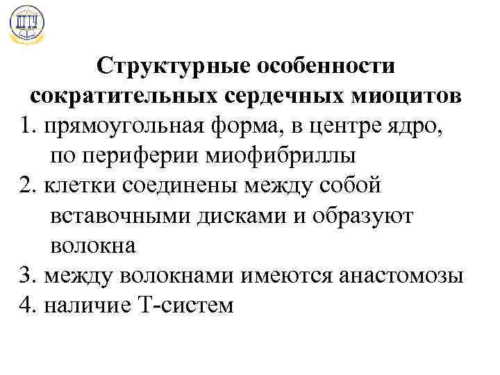 Структурные особенности сократительных сердечных миоцитов 1. прямоугольная форма, в центре ядро, по периферии миофибриллы