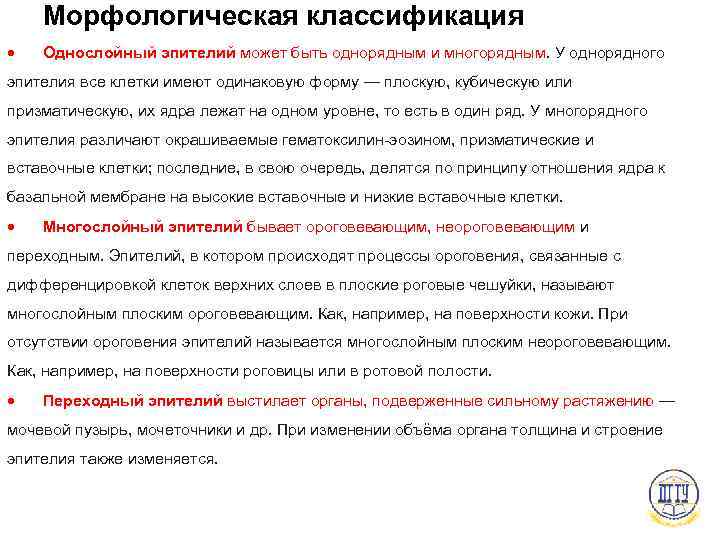 Морфологическая классификация Однослойный эпителий может быть однорядным и многорядным. У однорядного эпителия все клетки