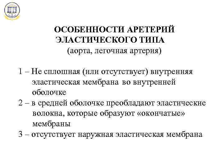 ОСОБЕННОСТИ АРЕТЕРИЙ ЭЛАСТИЧЕСКОГО ТИПА (аорта, легочная артерия) 1 – Не сплошная (или отсутствует) внутренняя