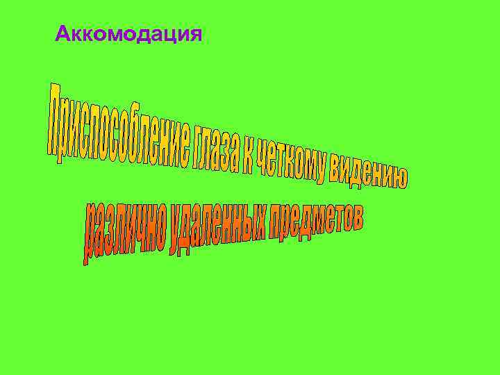 Аккомодация 