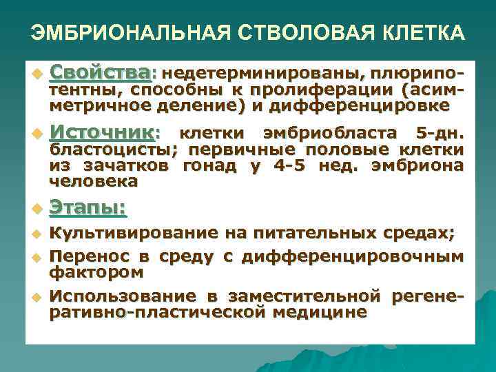 ЭМБРИОНАЛЬНАЯ СТВОЛОВАЯ КЛЕТКА u Свойства: недетерминированы, плюрипо- u Источник: клетки эмбриобласта 5 -дн. u