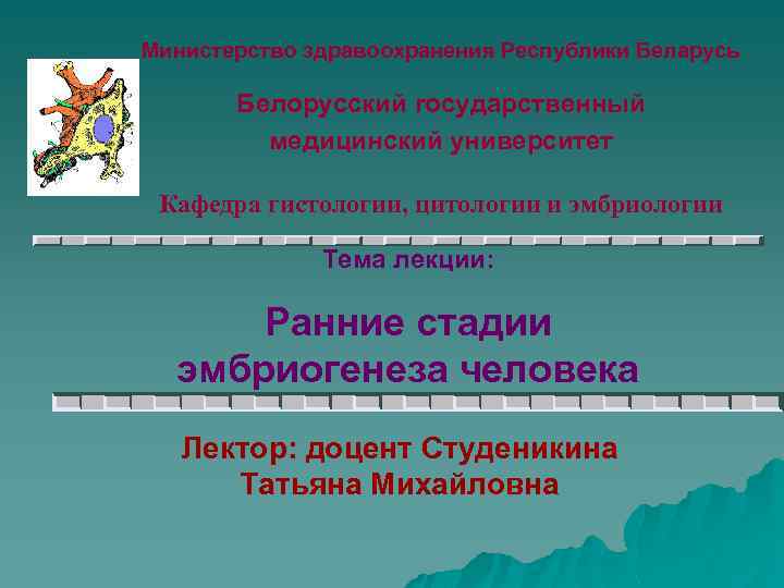 Министерство здравоохранения Республики Беларусь Белорусский государственный медицинский университет Кафедра гистологии, цитологии и эмбриологии Тема