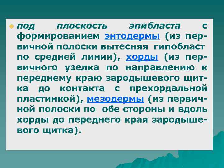 u под плоскость эпибласта с формированием энтодермы (из первичной полоски вытесняя гипобласт по средней