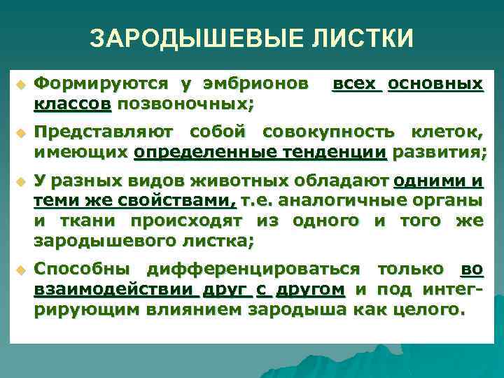 ЗАРОДЫШЕВЫЕ ЛИСТКИ u Формируются у эмбрионов классов позвоночных; всех основных u Представляют собой совокупность