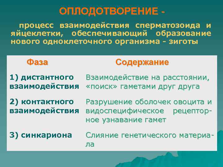 ОПЛОДОТВОРЕНИЕ процесс взаимодействия сперматозоида и яйцеклетки, обеспечивающий образование нового одноклеточного организма - зиготы Фаза