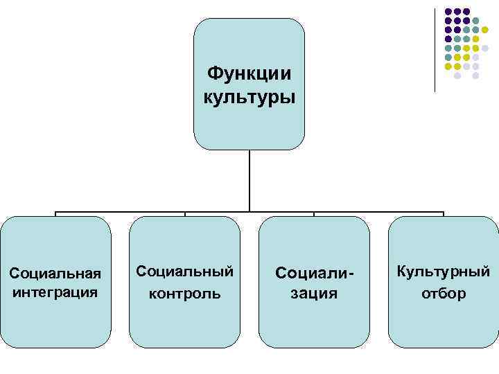 Функции культуры план