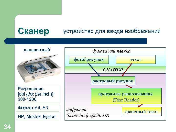  Сканер   устройство для ввода изображений  планшетный    