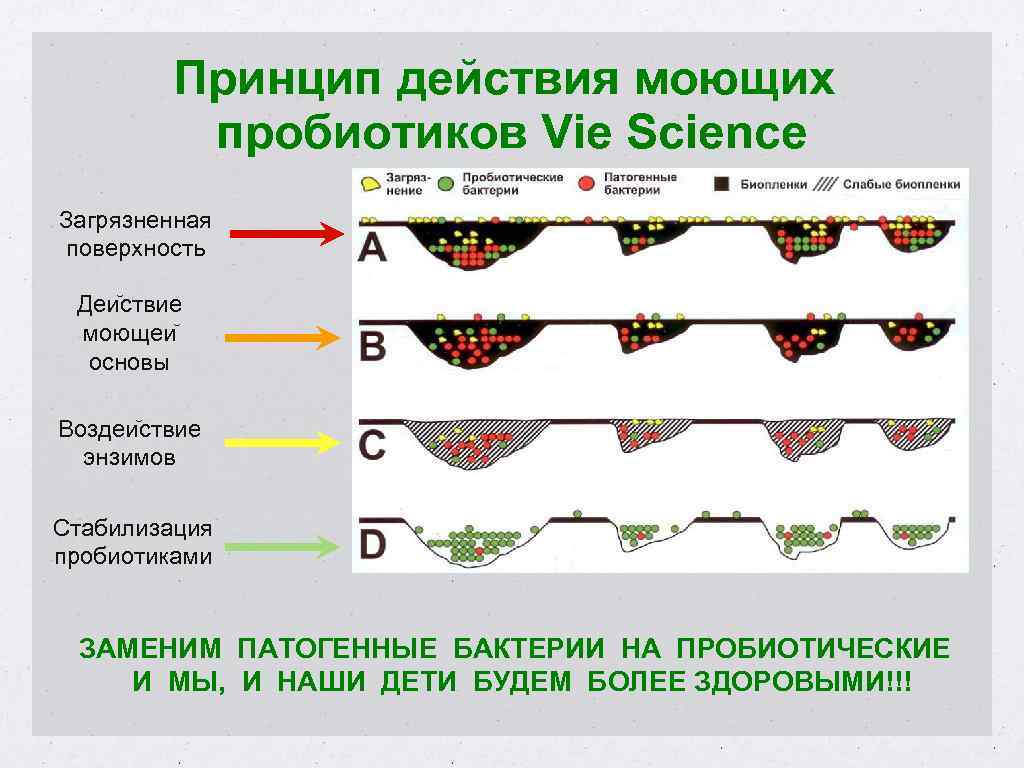 Принцип действия моющих пробиотиков Vie Science Загрязненная поверхность Деи ствие моющеи основы Воздеи ствие