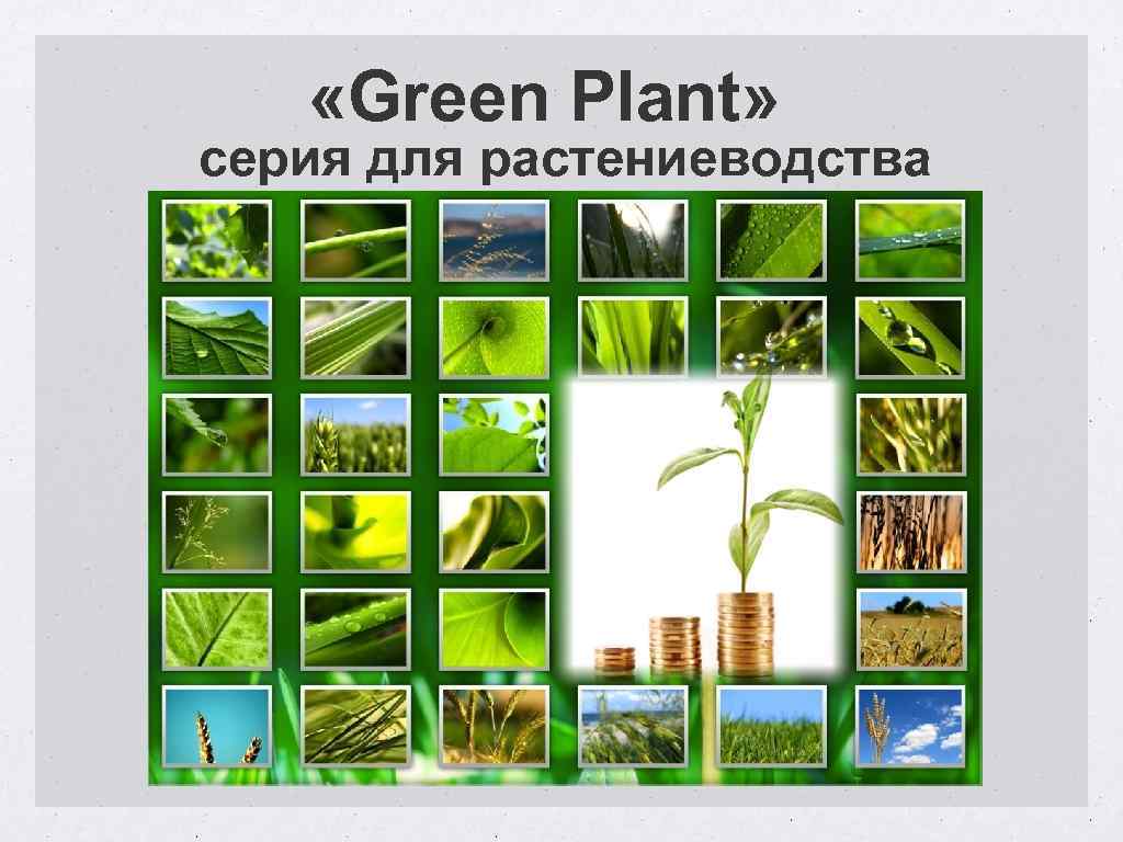  «Green Plant» серия для растениеводства 