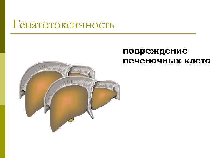 Гепатотоксичность повреждение печеночных клето 