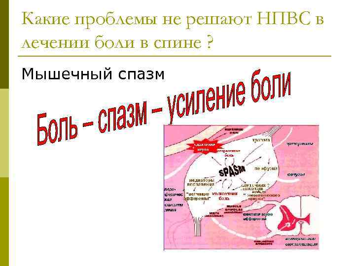 Какие проблемы не решают НПВС в лечении боли в спине ? Мышечный спазм 
