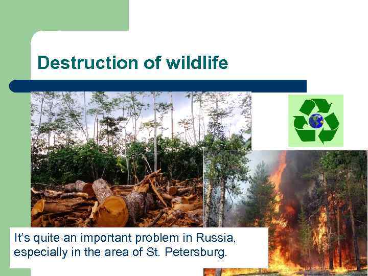  Destruction of wildlife It’s quite an important problem in Russia, especially in the
