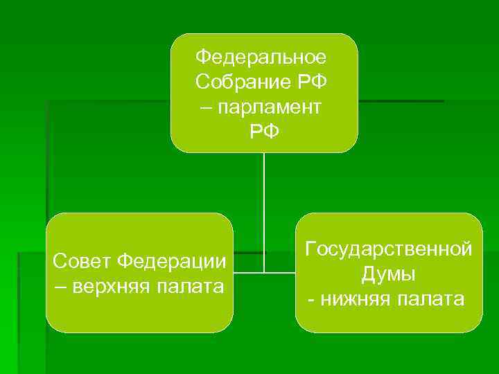    Федеральное   Собрание РФ   – парламент  
