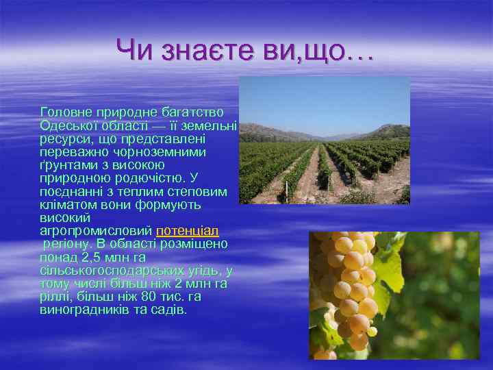Чи знаєте ви, що… Головне природне багатство Одеської області — її земельні ресурси, що