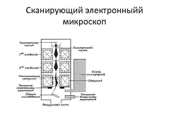 Методы оптической микроскопии