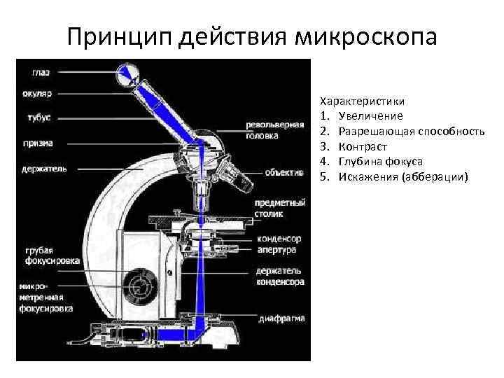 Действие микроскопа