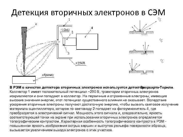 Детекция вторичных электронов в СЭМ В РЭМ в качестве детектора вторичных электронов используется детектор