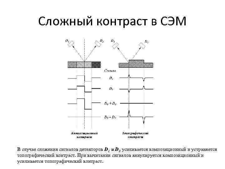 Принципиальная схема растрового сканирующего электронного микроскопа при работе в режиме рма