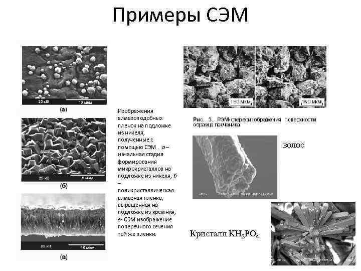 Изображения полученные с помощью. Сэм сканирующая электронная микроскопия. Примеры сканирующей электронной микроскопии. Методом сканирующей электронной микроскопии (Сэм).. Электронный микроскоп пленка подложка.