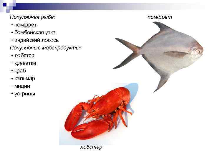 Популярная рыба: • помфрет • бомбейская утка • индийский лосось Популярные морепродукты: • лобстер