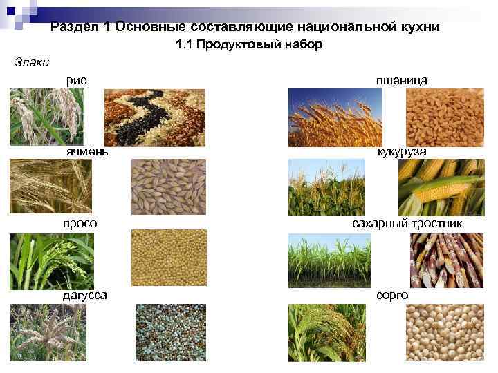 Раздел 1 Основные составляющие национальной кухни 1. 1 Продуктовый набор Злаки рис пшеница ячмень