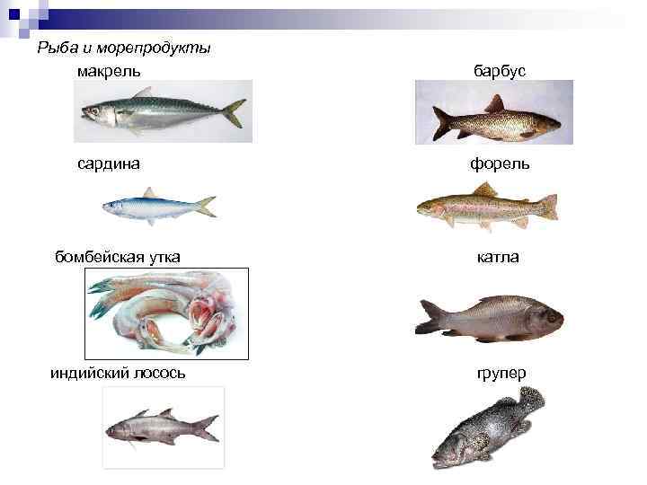 Рыба и морепродукты макрель барбус сардина форель бомбейская утка катла индийский лосось групер 