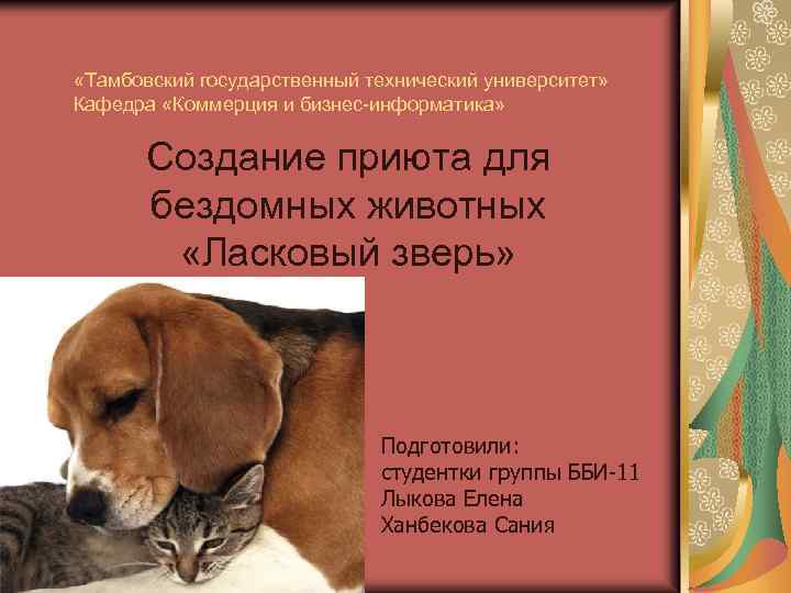  «Тамбовский государственный технический университет» Кафедра «Коммерция и бизнес-информатика» Создание приюта для бездомных животных