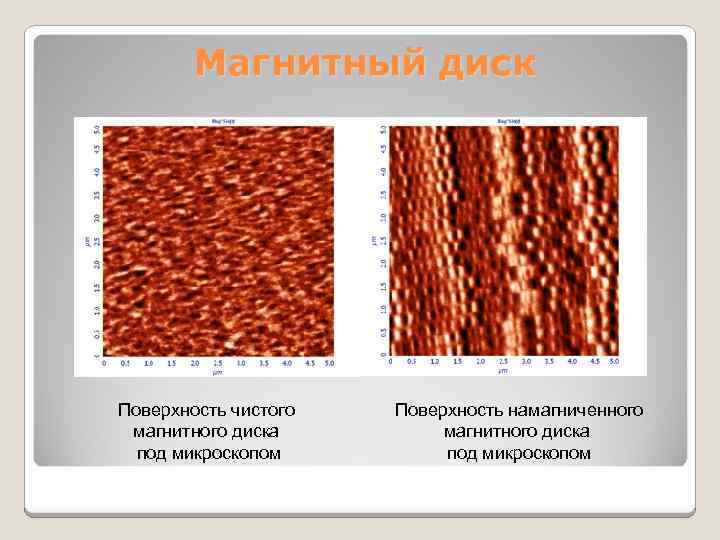 Магнитная поверхность. Магнитная головка жесткого диска под микроскопом. Поверхность жесткого диска под микроскопом. Дорожки жесткого диска под микроскопом. Пластина жесткого диска под микроскопом.