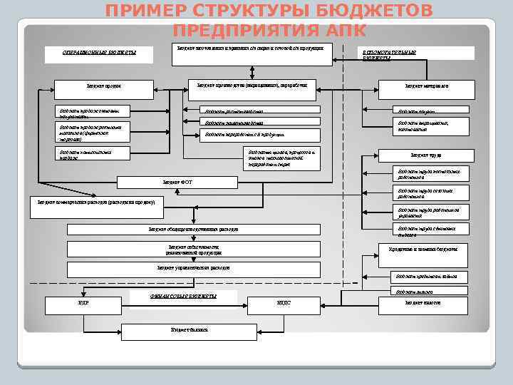 Структура бюджетной организации