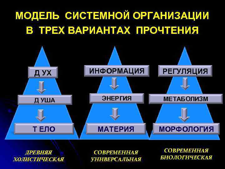 МОДЕЛЬ СИСТЕМНОЙ ОРГАНИЗАЦИИ В ТРЕХ ВАРИАНТАХ ПРОЧТЕНИЯ Д УХ ИНФОРМАЦИЯ РЕГУЛЯЦИЯ Д УША ЭНЕРГИЯ