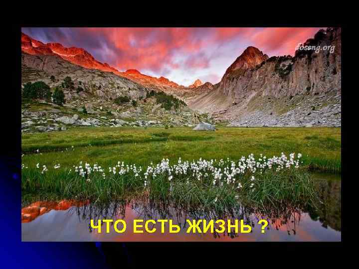 ЧТО ЕСТЬ ЖИЗНЬ ? 