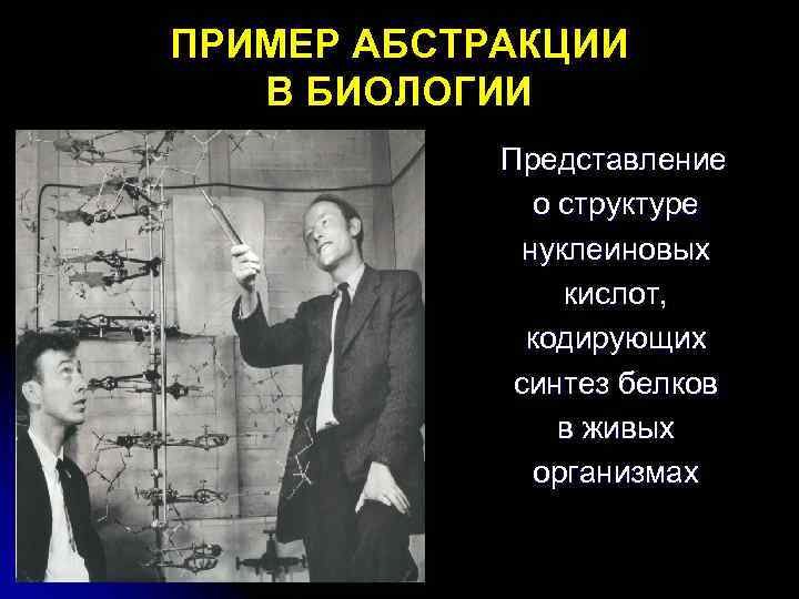 ПРИМЕР АБСТРАКЦИИ В БИОЛОГИИ Представление о структуре нуклеиновых кислот, кодирующих синтез белков в живых