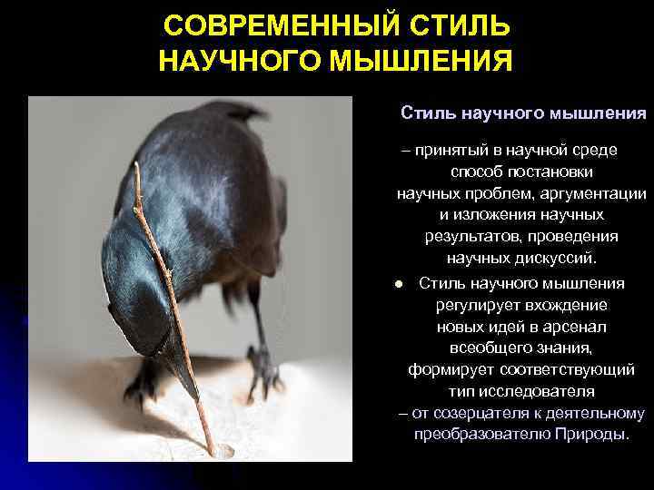  СОВРЕМЕННЫЙ СТИЛЬ НАУЧНОГО МЫШЛЕНИЯ Стиль научного мышления – принятый в научной среде способ