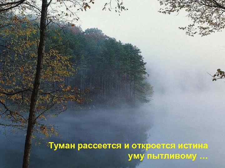 Туман рассеется и откроется истина уму пытливому … 