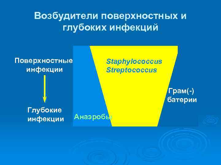 Возбудители поверхностных и глубоких инфекций Поверхностные инфекции Staphylococcus Streptococcus Грам(-) батерии Глубокие инфекции Анаэробы