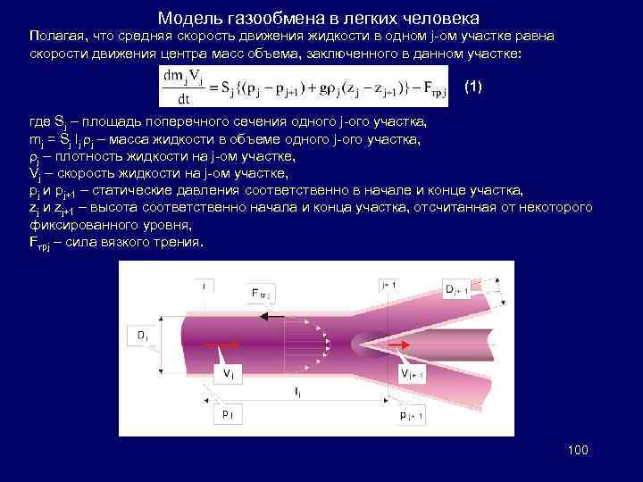 Модель газообмена в легких человека Полагая, что средняя скорость движения жидкости в одном j-ом