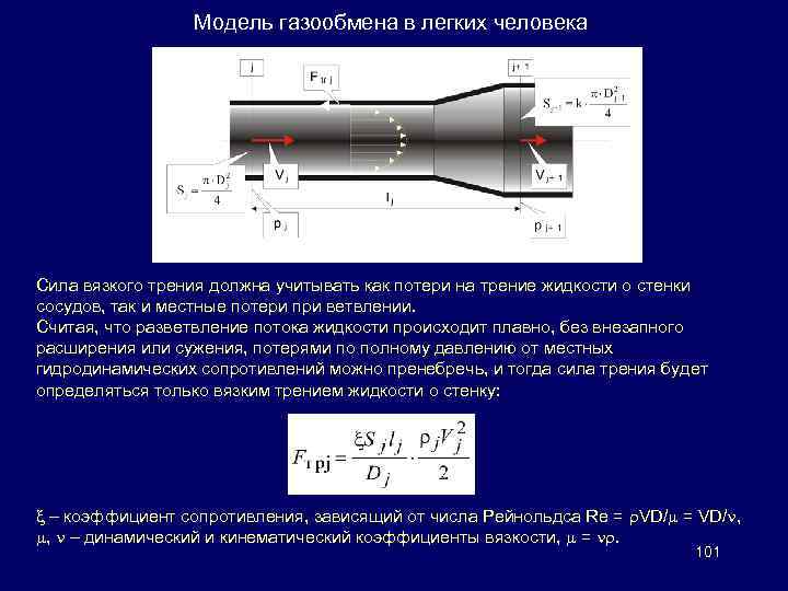 Модель газообмена в легких человека Сила вязкого трения должна учитывать как потери на трение
