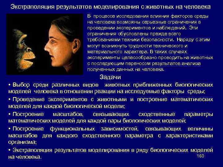 Экстраполяция результатов моделирования с животных на человека В процессе исследования влияния факторов среды на