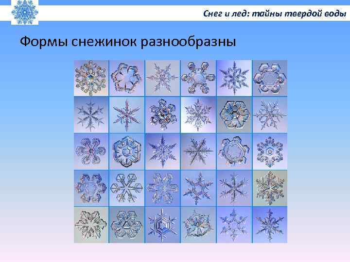 Снег и лед: тайны твердой воды Формы снежинок разнообразны 